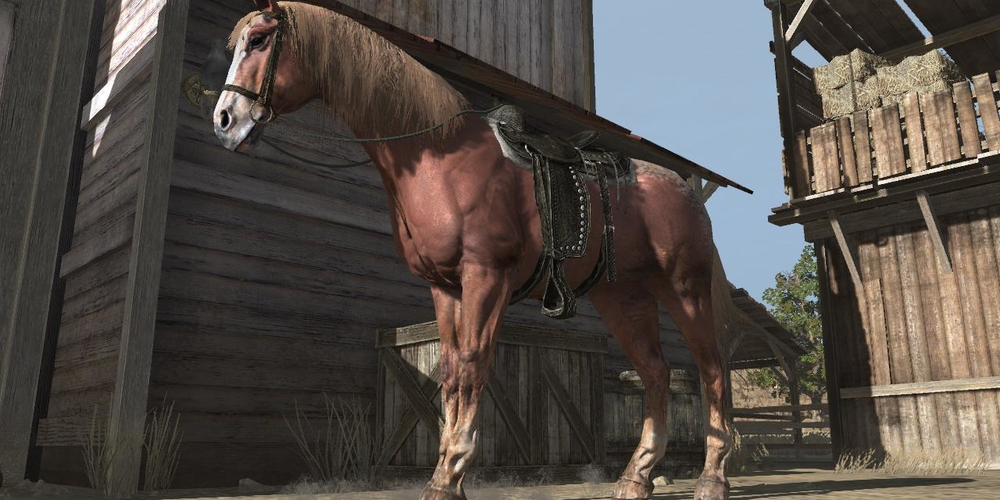 Arabian Horse in game